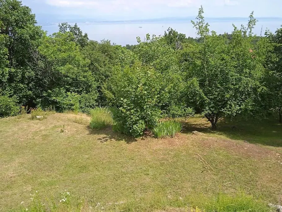 Vila Vita U Blizini Opatije Veprinac 0*,  Croatia
