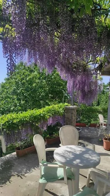Vila Vita U Blizini Opatije Veprinac Croatia