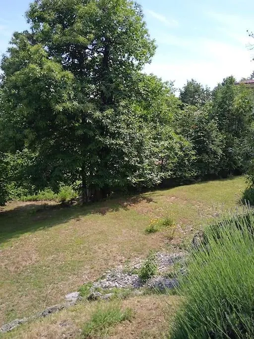 Vila Vita U Blizini Opatije Veprinac 0*,